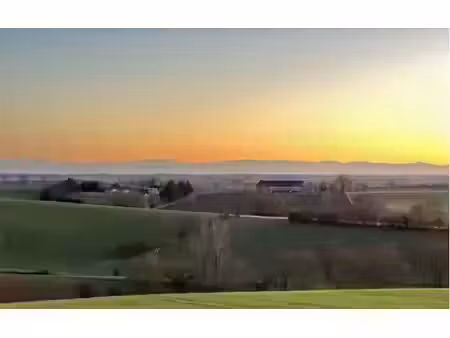 vente terrain 1600 m² à cox (31480)  49 000 €