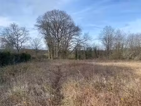 vente terrain 7682 m² à rogny-les-sept-ecluses (89220)  55 000 €