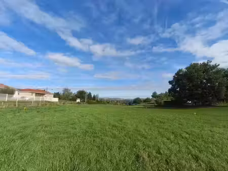 vente terrain 982 m² à graulhet (81300)  52 600 €