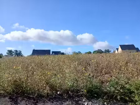 vente terrain 435 m² à pont-l'eveque (14130)  67 400 €