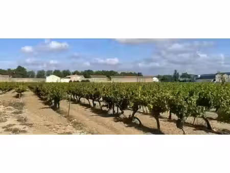 vente terrain 534 m² à canet (11200)  79 900 €
