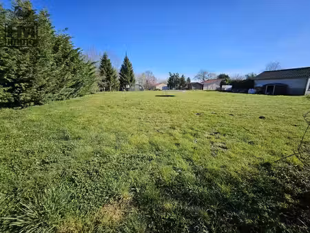 terrain