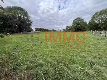 terrain constructible