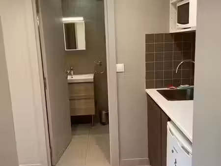 location appartement 1 pièce 18 m² à bourg-la-reine (92340)