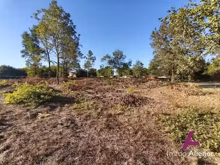 vente terrain à batir 576 m² à belin-béliet (33830)  128 000 €