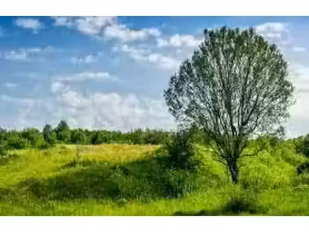 vente terrain 372 m² à tregastel (22730)  117 600 €