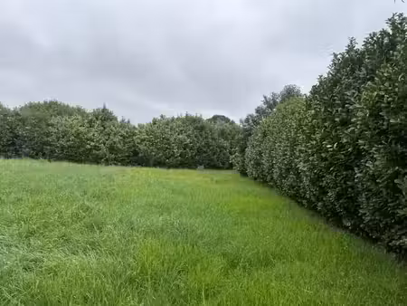 vente terrain 555 m² à loriol-sur-drôme (26270)  93 000 €