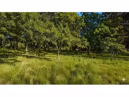 vente terrain 1200 m² à le poët-laval (26160)  145 000 €