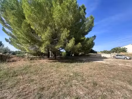 paulhan : terrain à bâtir de 1500m2.