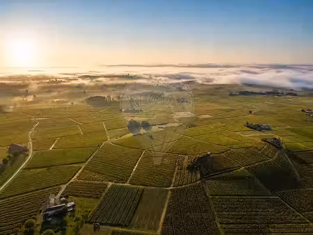 vente terrain 38000 m² à lantignié (69430)  2 200 000 €