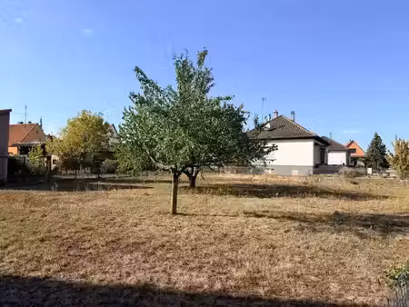 vente terrain 1000 m² à selestat (67600)  385 000 €