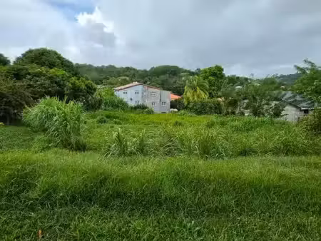 vente terrain 986 m² ducos (97224)
