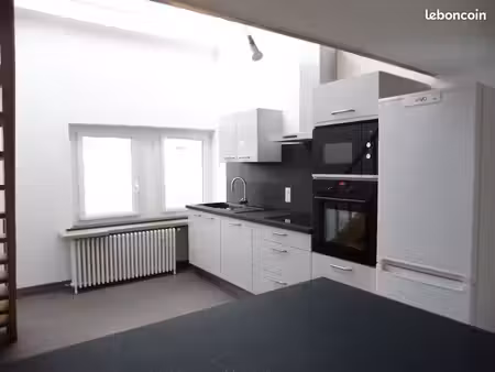 bel appartement entièrement rénové de 110m2 en plein centre ville