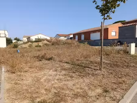 terrain