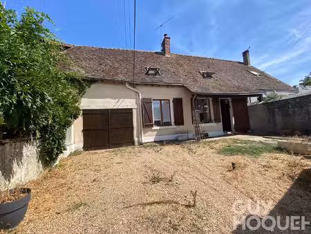 maison 5 pièces en vente à ouzouer le doyen