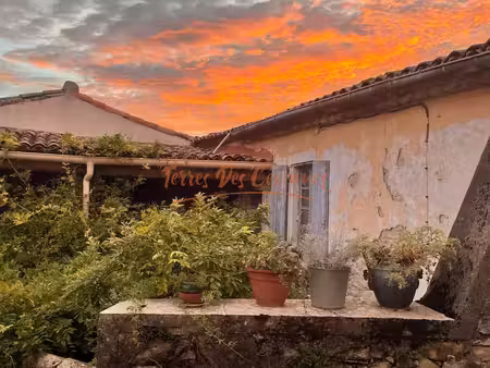 agréable maison de village avec jardin