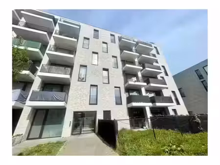 appartement à louer à zeelandstraat 71 hoboken (rbw87708)