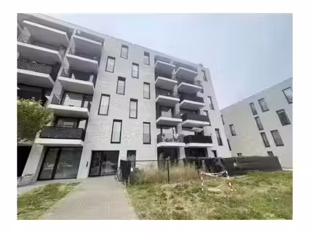 appartement à louer à zeelandstraat 71 hoboken (rbw87709)