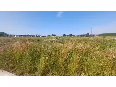 lot 61