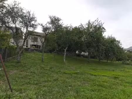 maison en pierre avec terrain de 2100m2