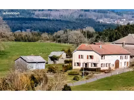ancienne ferme vosgienne réaménagée: 1 logement de 118 m2 + grandes dépendances et possibi