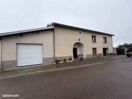 maison individuelle avec grand terrain
