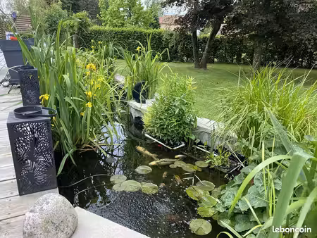 maison 7 pièces 161 m²