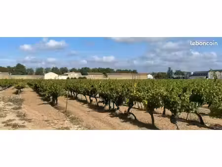 terrain 534 m² canet