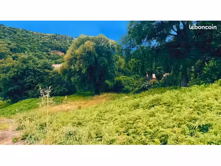 terrain 1824 m² oletta
