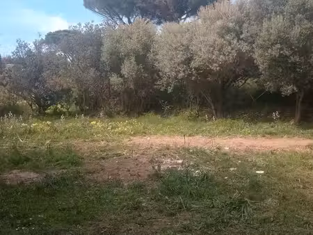 terrain a vendre