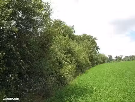 a vendre – parcelle d’herbage 1 59 ha – ideale chevaux