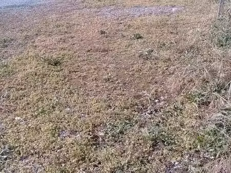 terrain   parking