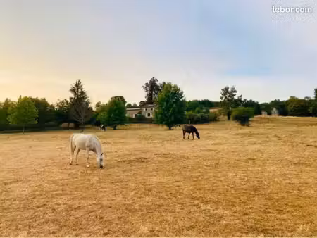 belle maison en pierre sur 15 000m2