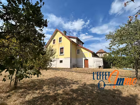 maison wittelsheim