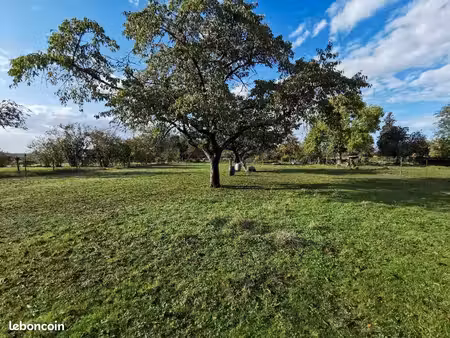 terrain 1 100 m² saint caprais