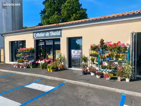 fonds de commerce fleuriste - archiac