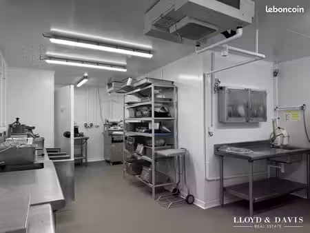 murs commerciaux 300 m² saint-georges-de-didonne