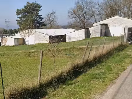 terrain de 5 000 m² avec 2 hangars de 280 m² sécurisé et clôturé