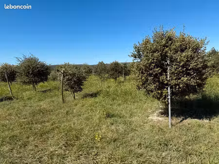 vente terrain arbres truffiers