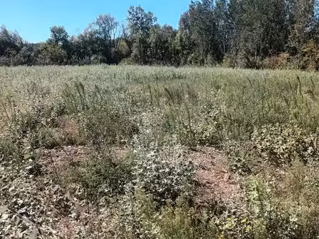 terrain agricole