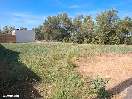 terrain constructible