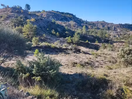 terrain agricole