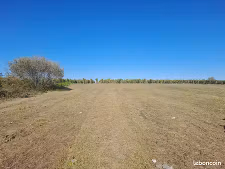 terrain constructible