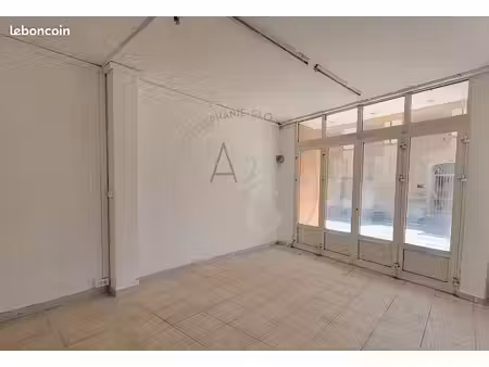 local 46 m² cogolin