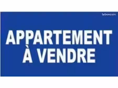 appartement 1 pièce 50 m²