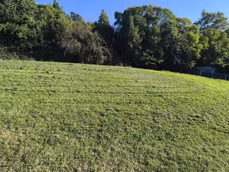 terrain constructible