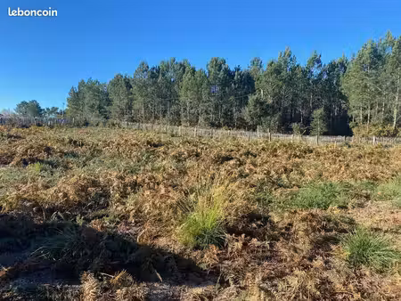 superbe terrain constructible 970m2. centre bourg. au calme. impasse. vue forêt. plage 3km