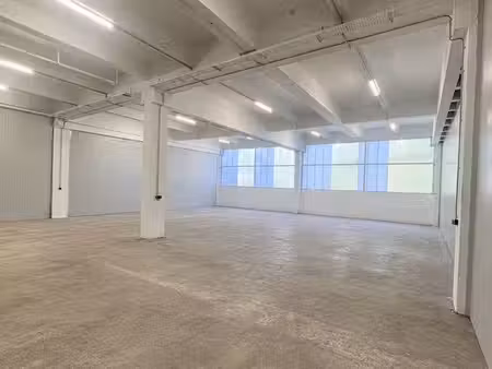 local d'activité de 300m²