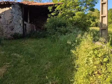 bergerie