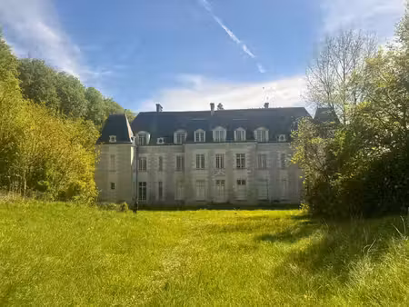 propriété à vendre saint ouen les vignes 17 pièce(s) 1100m2 1 990 000€